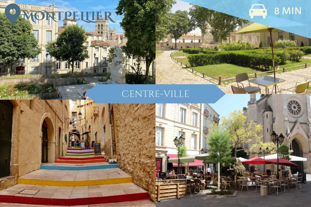 Apartment 041 - Le Chateau D'o, 4pers, Parking, Proche Faculte De Medecine